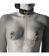 FANTASY COLLAR CON PINZAS PEZONES CON FORRO DE NEOPRENO