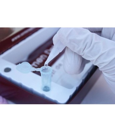 Verifica® semen detector® test de infidelidad